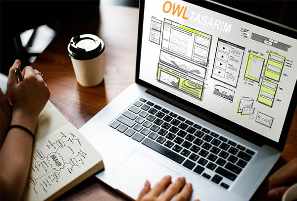 web tasarım
