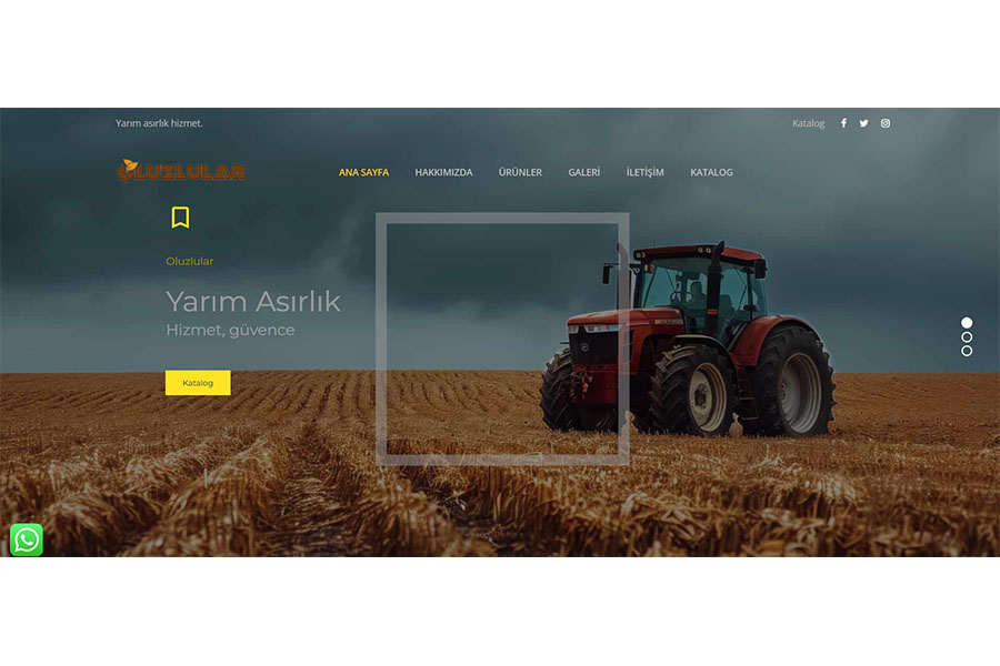 Owl Tasarım amasya Web site açmak