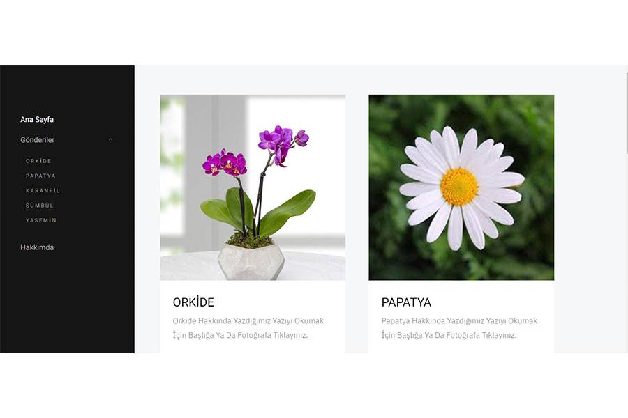 Owl Tasarım amasya Web tasarım ajansları